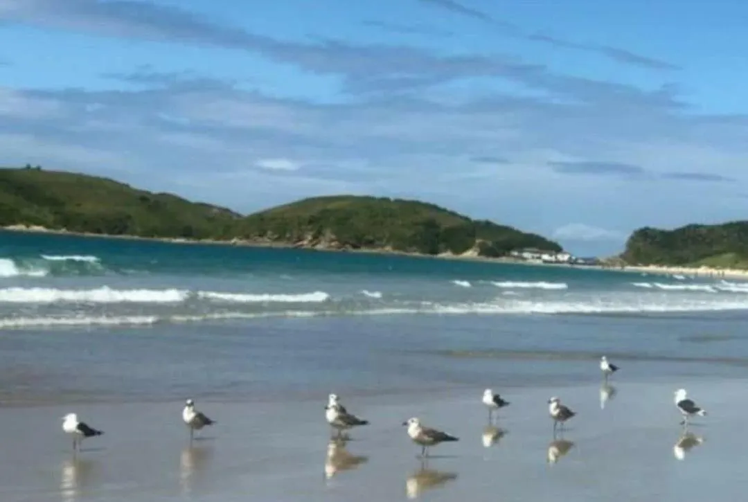 Casa Em Cabo Frio: Ampla E Aconchegante Para 8 Hospedes ! 0*,  Brasil